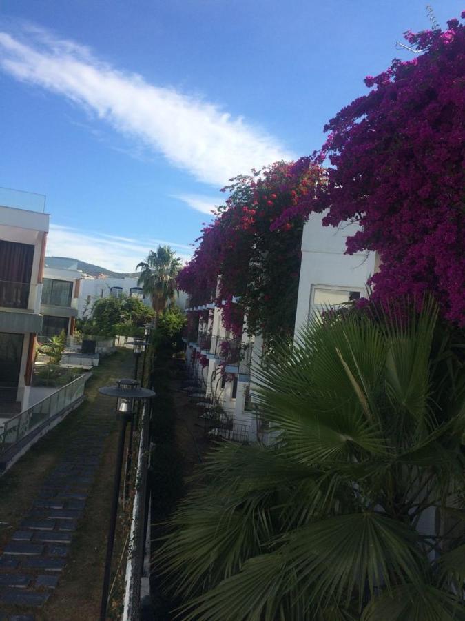 埃肯度假酒店 博德鲁姆 外观 照片